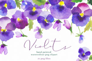 Download Watercolour Flower Violets Clipart - Violets Collection