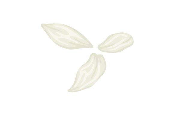 Download White Daisy Petals Illustration Vector - Daisy petals Collection