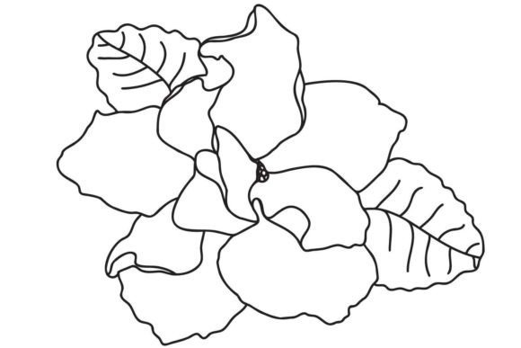Download Violets - Violets Collection