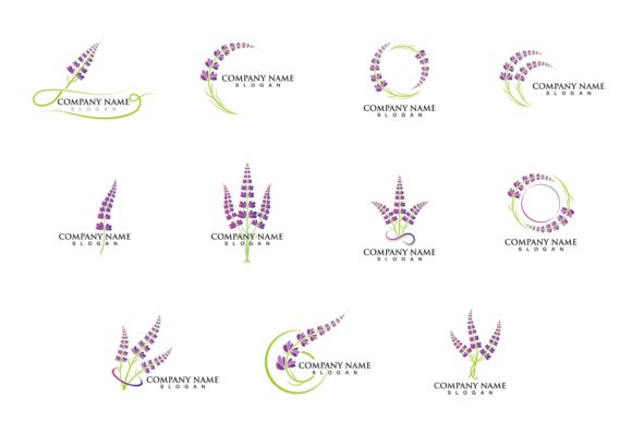 Download Lavender Flower Logo and Symbol Vector - Lavender flower Collection