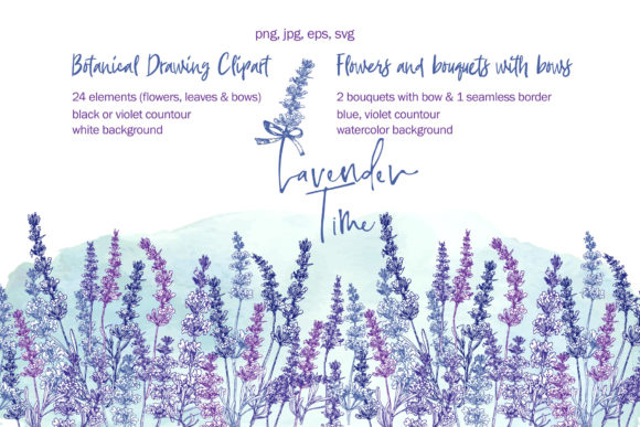 Download Hand-drawn Lavender Flower, Bouquets - Lavender flower Collection