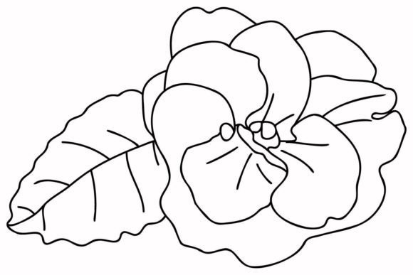 Download Violets - Violets Collection